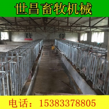 豬場(chǎng)限位欄設(shè)備河北世昌畜牧廠家供應(yīng)