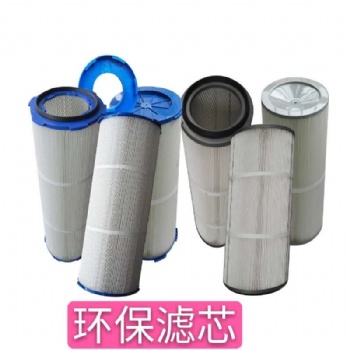 工業(yè)除塵濾芯濾筒/粉塵濾芯濾筒/拋丸機(jī)濾芯濾筒