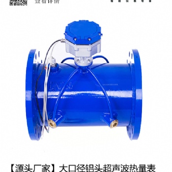 超聲波管網(wǎng)式熱量表流量計(jì)廠家