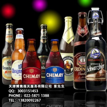 天津專業(yè)報關代理公司
