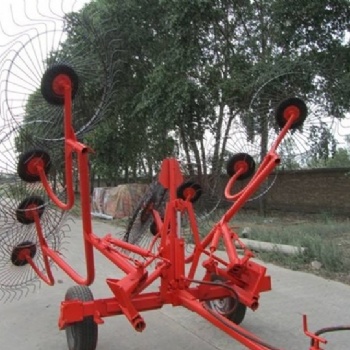 廠(chǎng)家直供指盤(pán)式摟草機(jī)