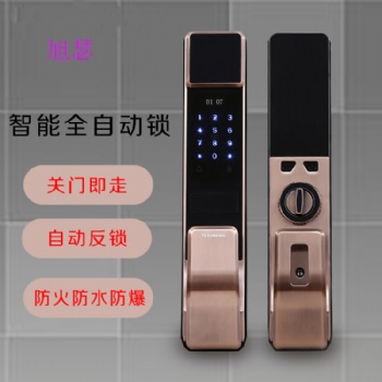廠家指紋密碼鎖智能鎖防盜門電子鎖全自動(dòng)指紋鎖智能門鎖現(xiàn)貨