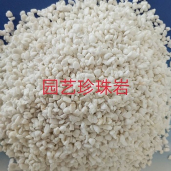 信陽創(chuàng)興發(fā)優(yōu)質(zhì)園藝珍珠巖