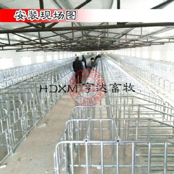 亨特畜牧廠家定位欄熱鍍鋅限位欄十個(gè)豬位限位欄價(jià)格尺寸