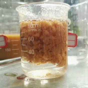 聚合氯化鋁 量大從優