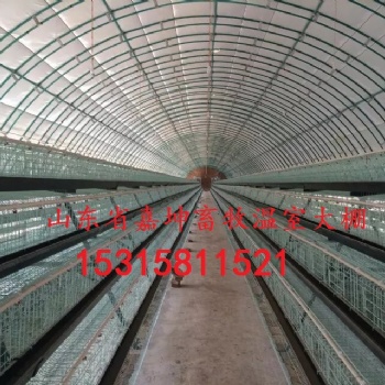 廠家定制畜牧溫室大棚包塑防腐溫室大棚優(yōu)質溫室大棚建造安裝連棟式畜牧溫室大棚
