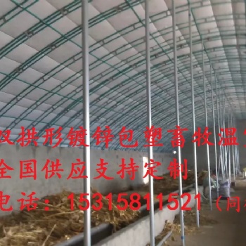 智能溫室大棚溫室大棚設計養(yǎng)鴨大棚拱形溫室大棚