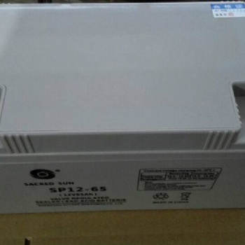 山東圣陽蓄電池池SSP12-65 12V6H 報(bào)價(jià) 山東金毅達(dá)電源