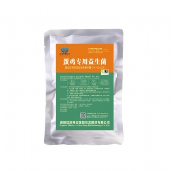 益生菌替代抗生素，蛋雞養(yǎng)殖新趨勢