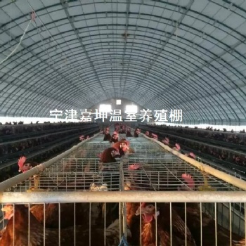溫室養(yǎng)殖大棚 畜牧溫室牛羊棚 養(yǎng)殖溫室大棚 智能溫室大棚