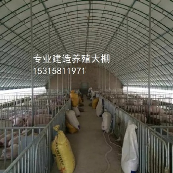 嘉坤溫室養(yǎng)殖棚 養(yǎng)殖大棚造價(jià) 養(yǎng)殖保溫棚