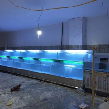 珠海專業(yè)餐飲定做各類海鮮河鮮魚(yú)池公司 好水族海鮮池定做