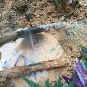 專業漏水檢測，消防管道自來水管道漏水檢測，家庭水管漏水檢測