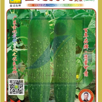 吊瓜種子：揭優(yōu)灰青大吊瓜種子906