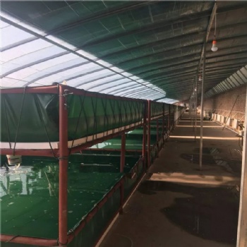 大棚室內(nèi)帆布魚池水池 水產(chǎn)養(yǎng)殖魚池定做加工 養(yǎng)牛蛙篷布水池圖片