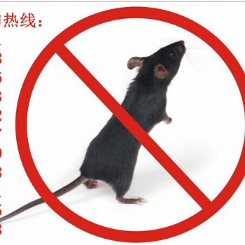 滄州專業滅鼠、滅蟑、滅蚊蟲，酒店、商業廣場、**、超市的除蟲