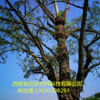 西安望必達(dá)可定制高性能復(fù)合材料古樹(shù)避雷針5-25m