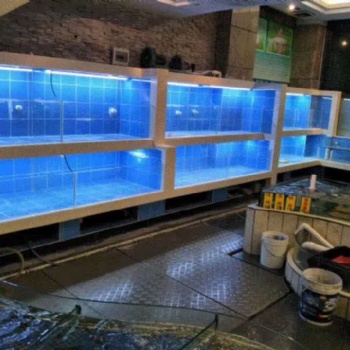 吳川市專業(yè)酒樓移動(dòng) 馬賽克玻璃不銹鋼海鮮池定做安裝價(jià)格 吳川市飯店海鮮池定做