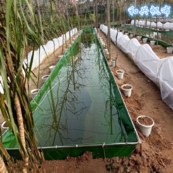 水產(chǎn)養(yǎng)殖帆布水池 養(yǎng)蝦帆布袋 南美白對蝦帆布水池