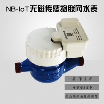 廠家 NB-Iot 遠傳水表 智能水表 無磁傳感物聯(lián)網(wǎng)