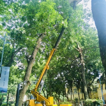 廣州市園林樹枝修剪云梯車出租高空車出租登高車出租價格優(yōu)惠
