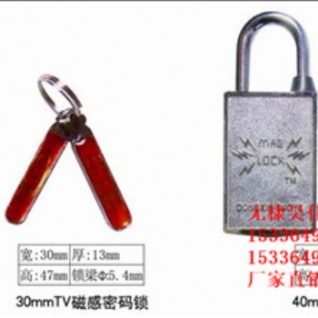 供應昆侖國家電網標志鎖昆侖塑料圓通鑰匙鎖昆侖塑料電力鎖廠家