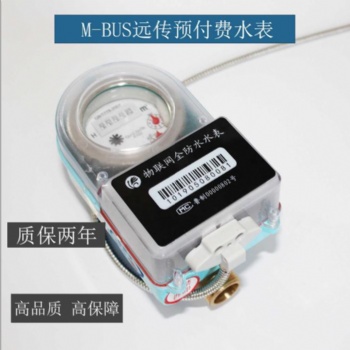 無線 遠傳水表 預(yù)付費水表 廠家 M-BUS智能水表