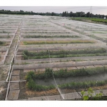 宜賓青蛙圍網加厚40目防逃網茂倫紗網總廠直發(fā)抗氧化圍網