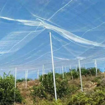尋烏臍橙防蟲網加厚質量好果樹網廠家直發(fā)40目加寬好網