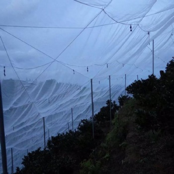贛州果樹防蟲網臍橙加寬防蟲網結實全新料好紗網