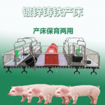 母豬產床廠家現貨供應