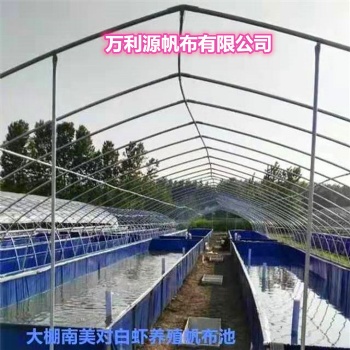 大型養(yǎng)殖魚(yú)池帆布池批發(fā) PVC帆布水池 刀刮布養(yǎng)殖帆布魚(yú)池圖片