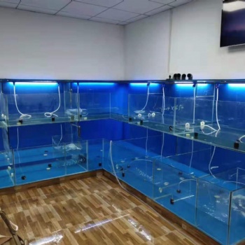 廣州花都小型新型海鮮魚缸安裝價格 花都專業海鮮池定做
