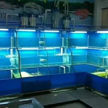廣州越秀菜市場(chǎng)海鮮池訂做 越秀生猛海鮮魚(yú)缸定做安裝