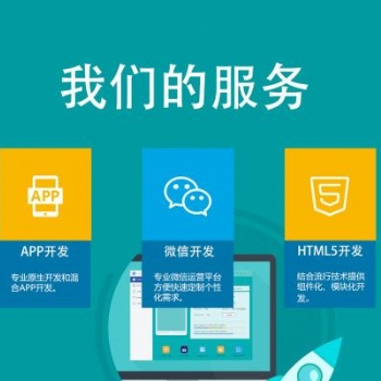 VPAY系統軟件APP開發-源碼