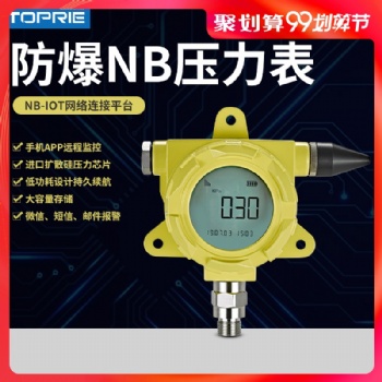 NB-IOT防爆壓力表低功耗壓力TP2401V1.0-EX遠程監(jiān)控工業(yè)級