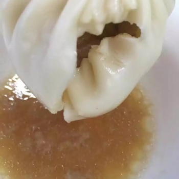 正宗老長沙德園包子，百年經典傳承