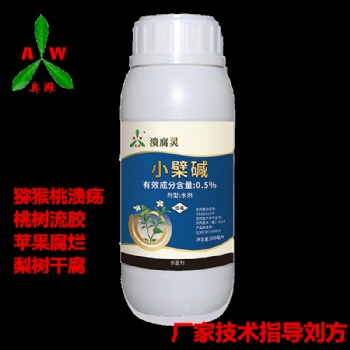 預防獼猴桃潰瘍病 采果后潰腐靈刷干清園很關(guān)鍵