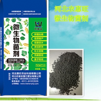生物肥料的作用 惠旺微生物菌劑底肥專家 生物有機(jī)肥河北廠商