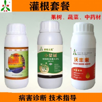 番茄根結(jié)線蟲病植株黃化 有機農(nóng)藥青枯立克水劑