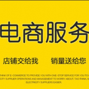 電商顧問(wèn) 電商團(tuán)隊(duì)培訓(xùn)