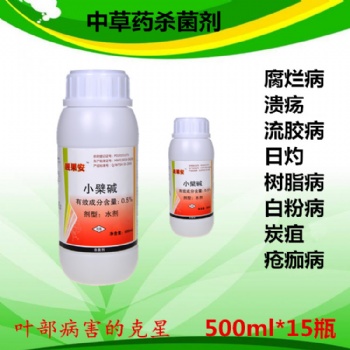 桃樹穿孔病區(qū)分和用藥 小檗堿靚果安奧豐廠家直供