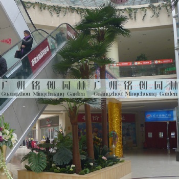 仿真棕櫚樹(shù)_仿真扇葵樹(shù)_仿真老人葵_仿真華盛頓棕櫚
