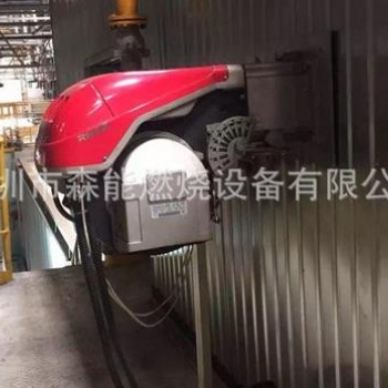 RIELLO利雅路RS70燃?xì)馊紵龣C(jī)