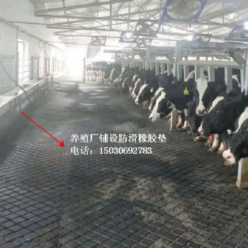 上海防滑墊，畜牧場所鋪設防滑膠墊，馬舍鋪設防滑墊，廣西牛欄墊