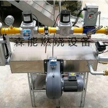 正英燃燒機(jī)DCM系列管道內(nèi)置式燃?xì)馊紵鱀CM30天然氣燃燒機(jī)