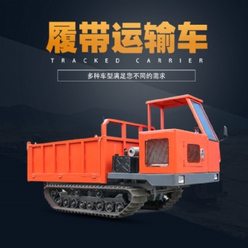 全地形礦用橡膠鋼絲履帶運(yùn)輸車(chē) 拉混凝土四不像履帶車(chē)