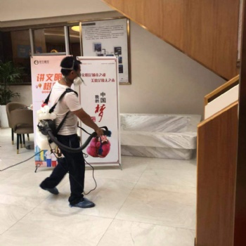羅湖區專業除甲醛、消殺服務、滅白蟻、除蟲除蟻、除蟑螂