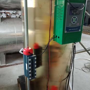 燃油燃氣蒸汽發生器廠家直供