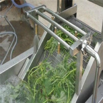 廠家菠菜氣泡清洗機(jī) 俞洋機(jī)械